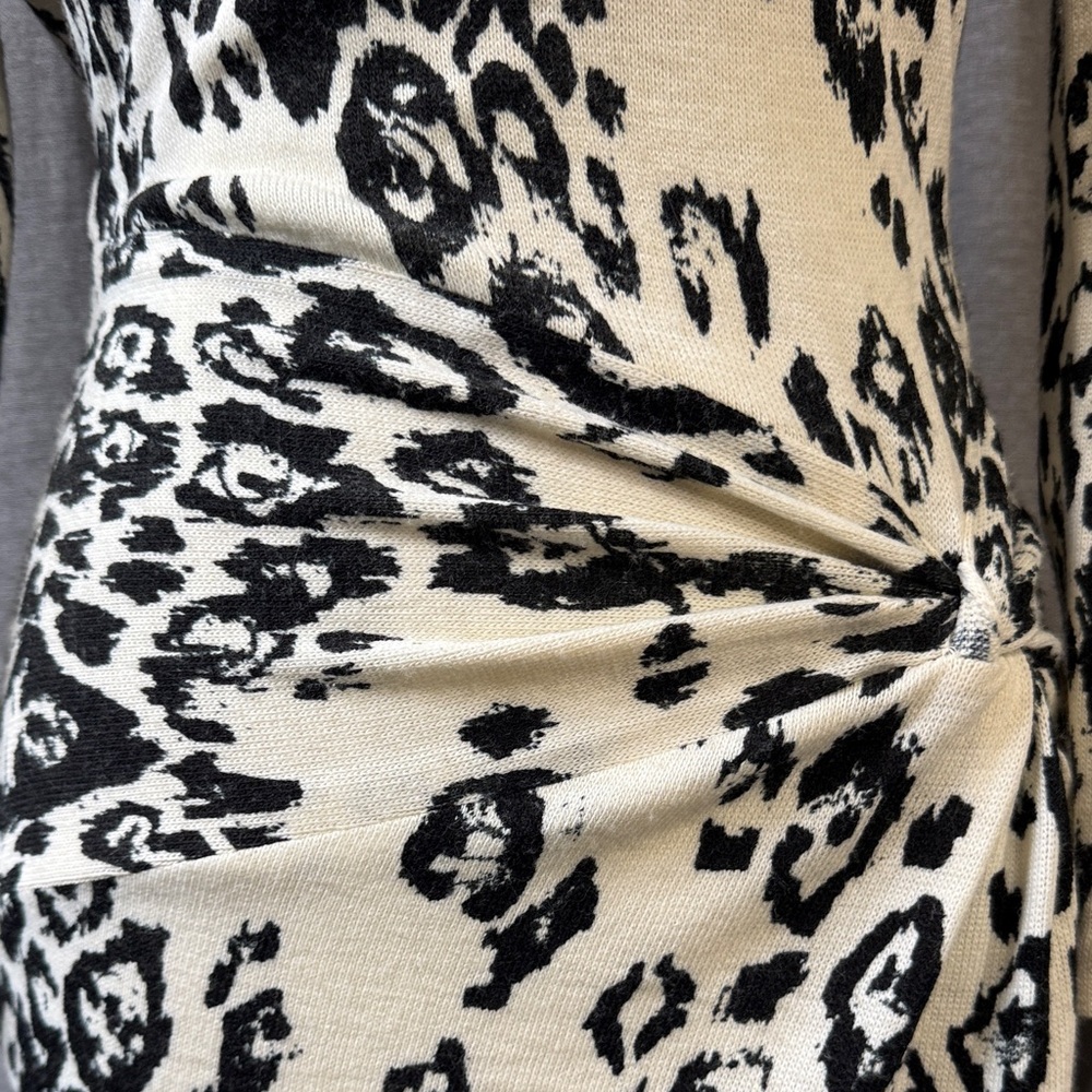 Leopard Print Long Sleeve Dress - Picture 11 of 11